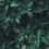 biophilic nature design