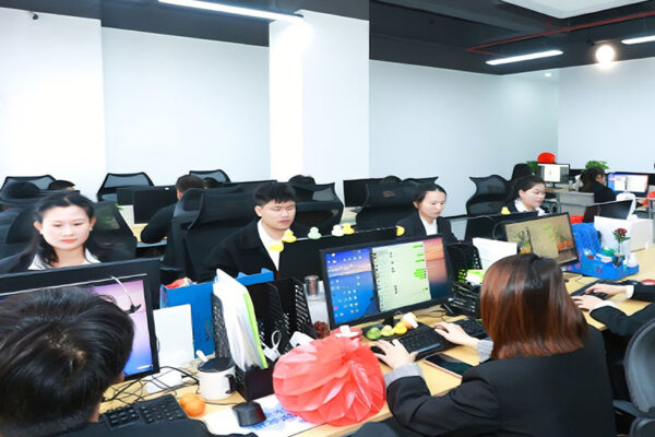 sales and after sales team