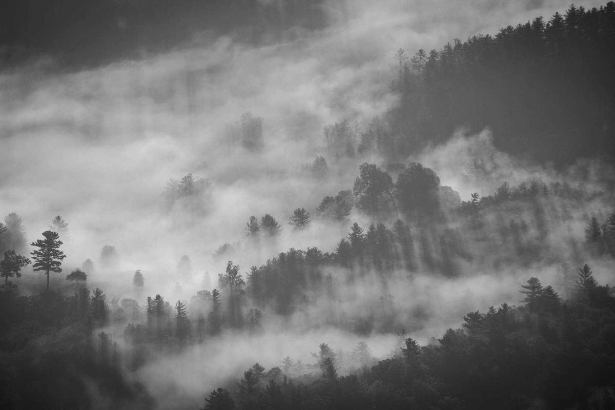 CRISPR Gene Editing: Promise and Ethical Challenges