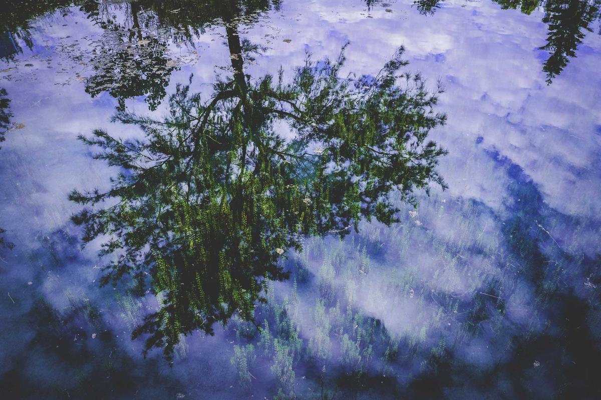 Ocean Exploration: The Last Frontier on Earth